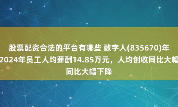 股票配资合法的平台有哪些 数字人(835670)年报：2024年员工人均薪酬14.85万元，人均创收同比大幅下降