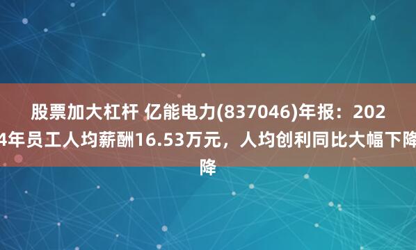 股票加大杠杆 亿能电力(837046)年报：2024年员工人均薪酬16.53万元，人均创利同比大幅下降