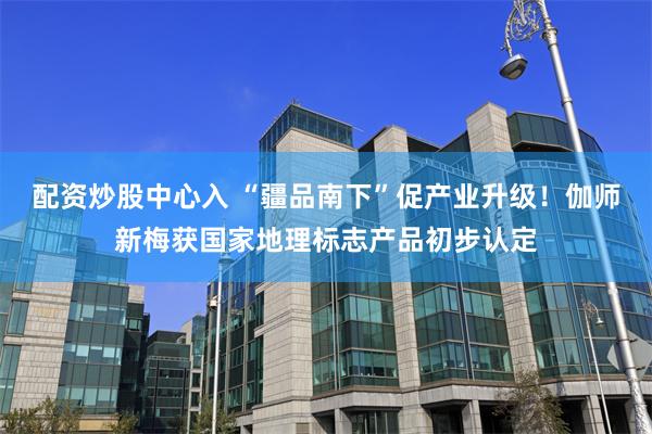 配资炒股中心入 “疆品南下”促产业升级！伽师新梅获国家地理标志产品初步认定