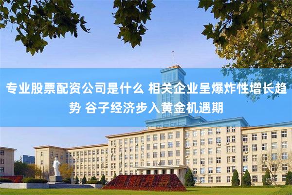 专业股票配资公司是什么 相关企业呈爆炸性增长趋势 谷子经济步入黄金机遇期
