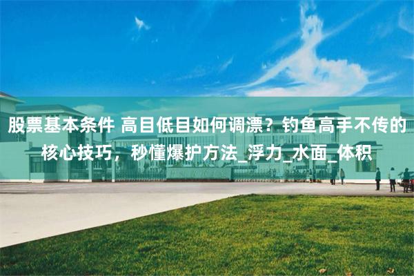 股票基本条件 高目低目如何调漂？钓鱼高手不传的核心技巧，秒懂爆护方法_浮力_水面_体积