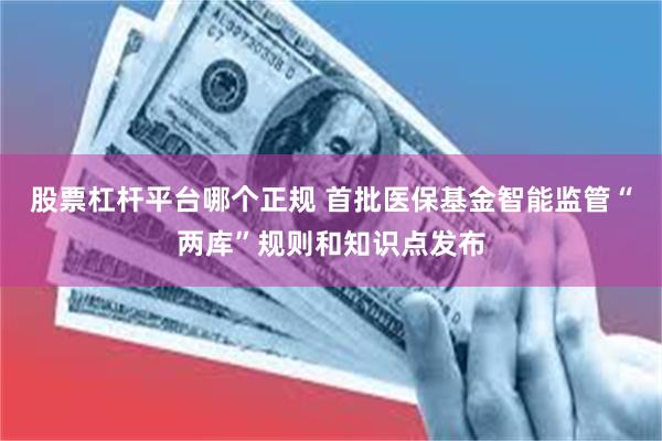 股票杠杆平台哪个正规 首批医保基金智能监管“两库”规则和知识点发布